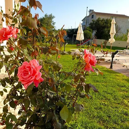 Jenny 3* 拉加纳斯